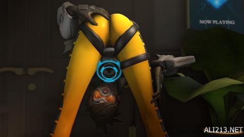 职业生涯 职业生涯