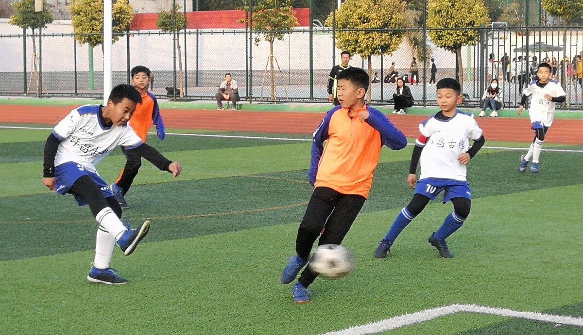 己在职业生 己在职业生